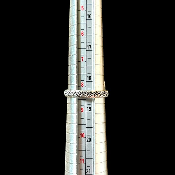 Sterling Silver Serpentine Ring - Picture 8 of 8